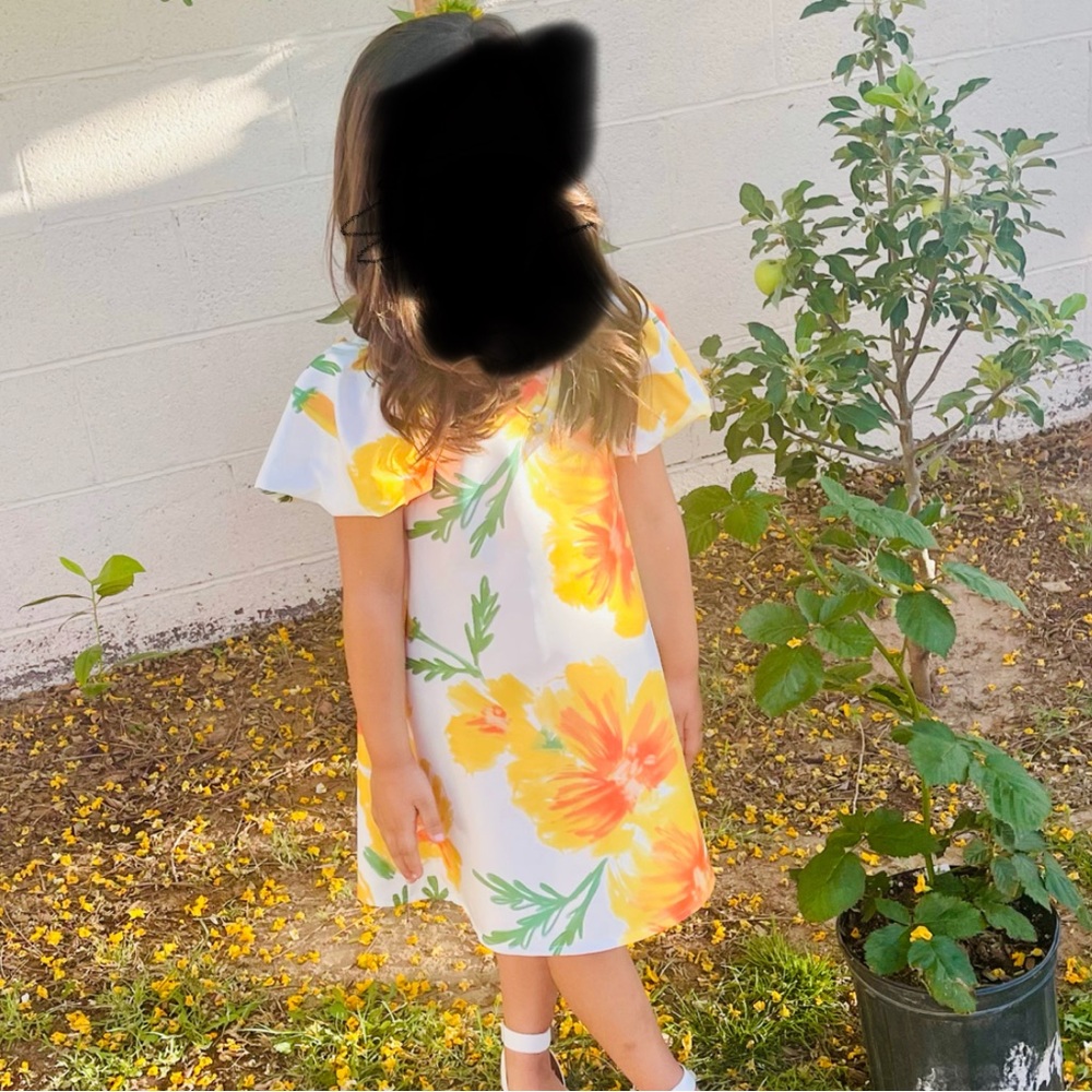 Little girl dress size 6